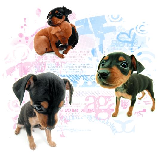 c47b95ce13_65646233_o2